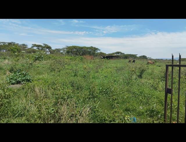 5HA FARM FOR SALE IN ELIM